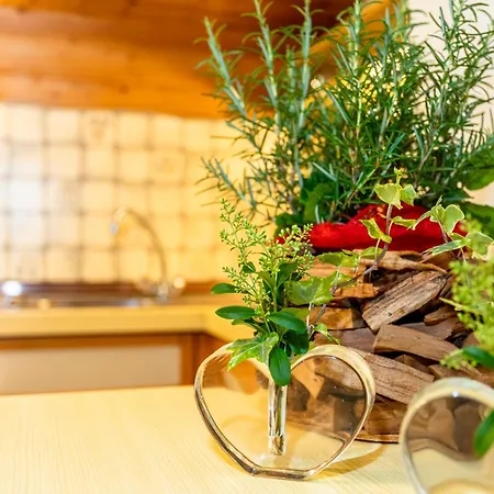 Obertaxinghof Apartment Saalbach-Hinterglemm